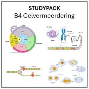 Studypack B4 - Celvermeerdering
