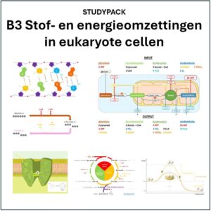 Studypack B3. Stof- en energieomzettingen