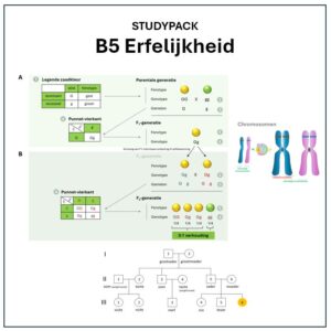 Studypack B5 - Erfelijkheid