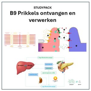 Studypack B9 - Prikkels ontvangen en verwerken